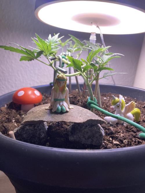 Raumschmuck. Week 4
