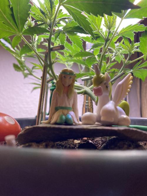 Raumschmuck. Week 5