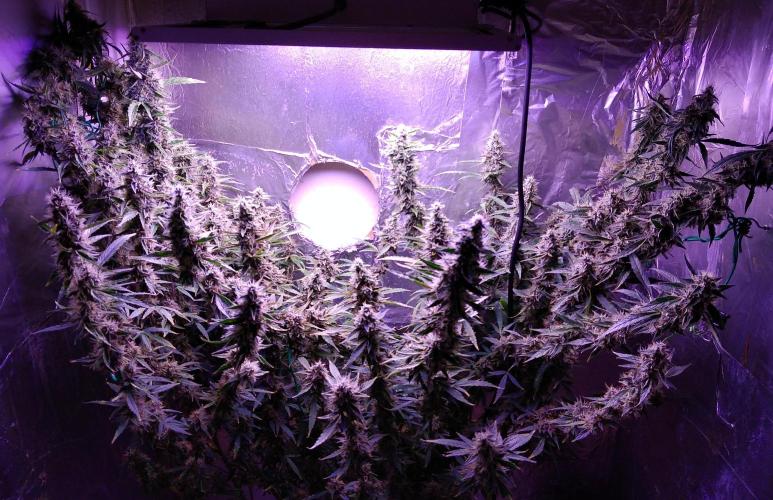 Der 2. Run ! .........die 2. !!!. Week 15