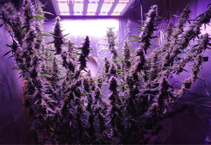 Der 2. Run ! .........die 2. !!!. Week 15