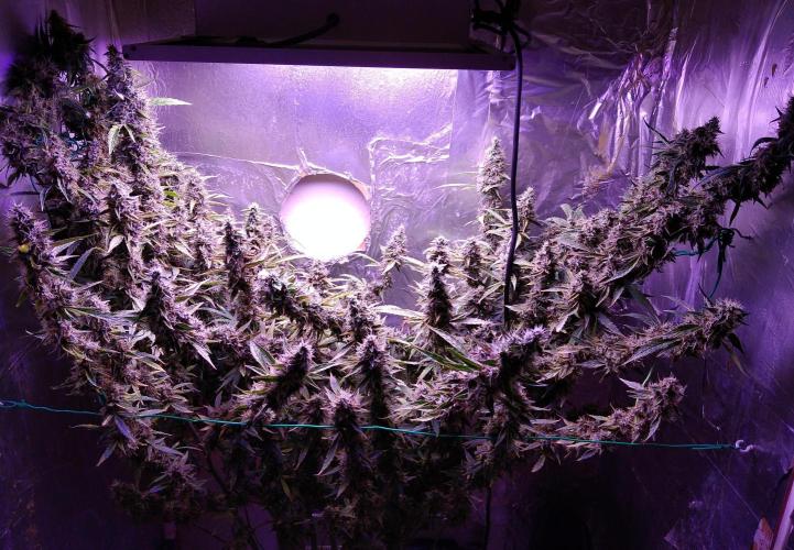 Der 2. Run ! .........die 2. !!!. Week 16