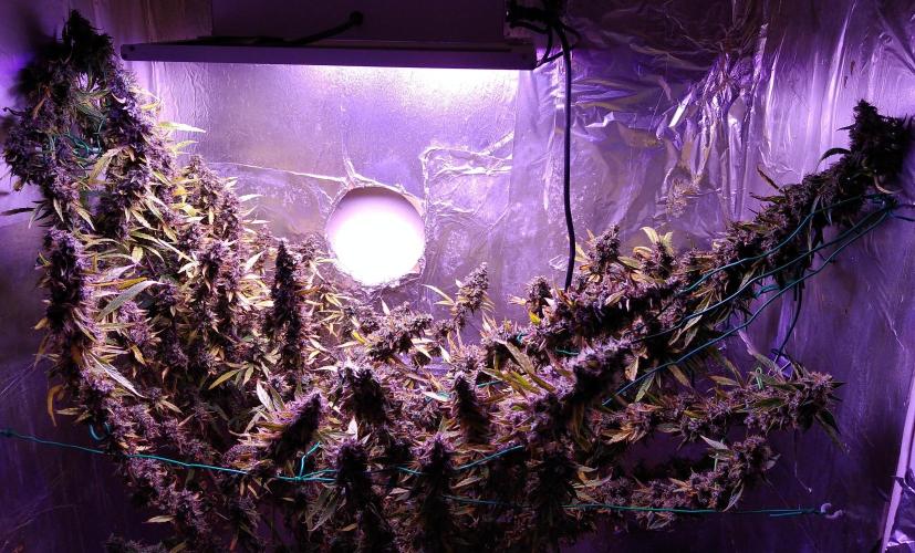 Der 2. Run ! .........die 2. !!!. Week 17