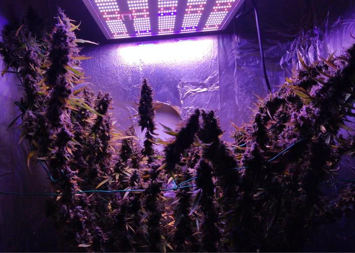 Der 2. Run ! .........die 2. !!!. Week 17