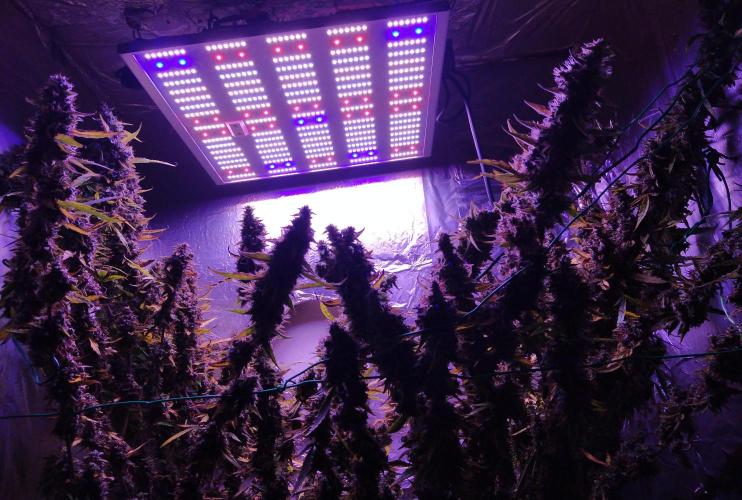 Der 2. Run ! .........die 2. !!!. Week 17