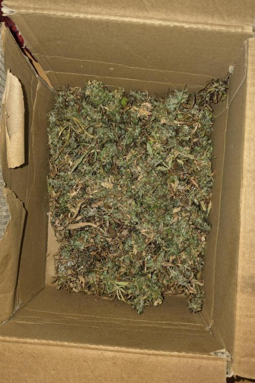 Der 2. Run ! .........die 2. !!!. Week 18