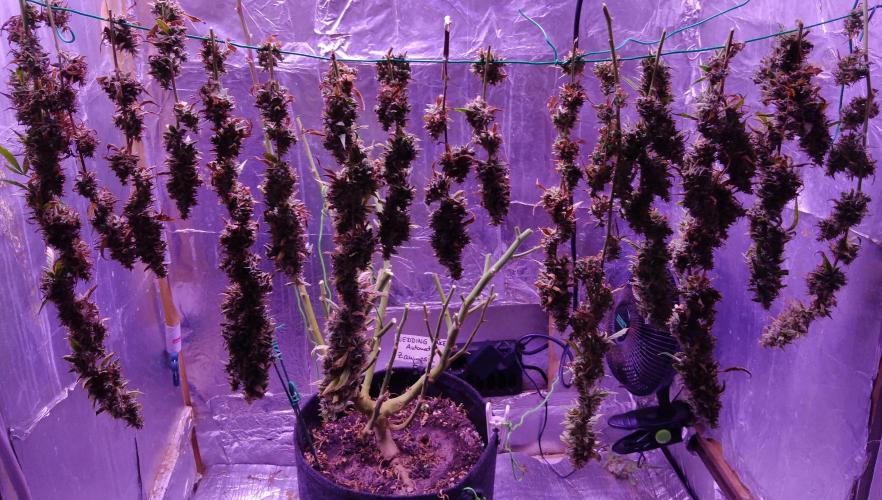 Der 2. Run ! .........die 2. !!!. Week 18