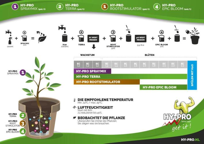 Der Klassiker !. Week 1