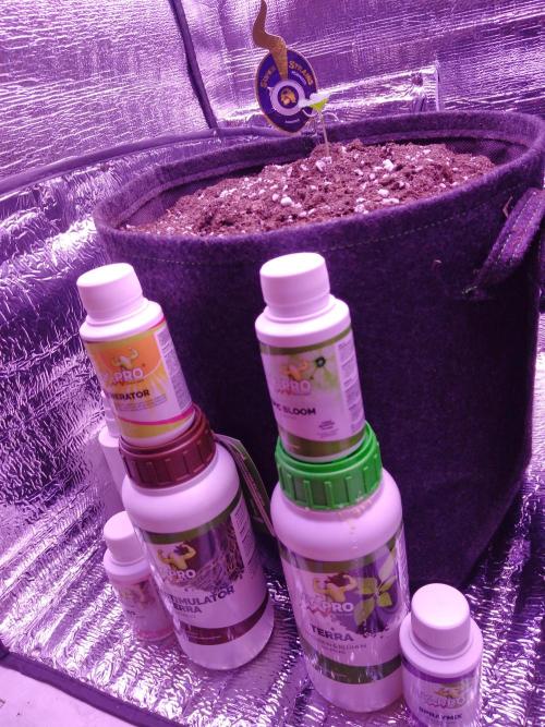 Der Klassiker !. Week 1