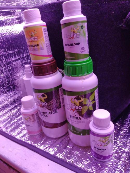 Der Klassiker !. Week 1