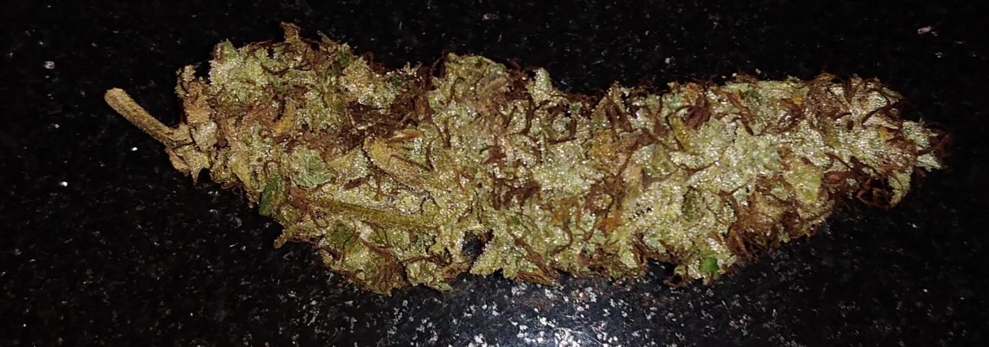 Der 2. Run ! .........die 2. !!!. Week 18