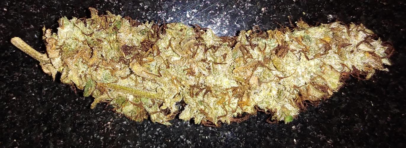 Der 2. Run ! .........die 2. !!!. Week 18