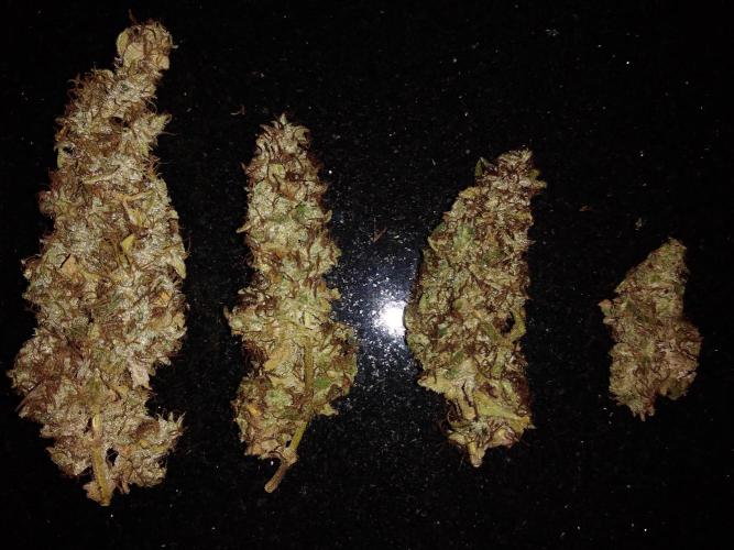 Der 2. Run ! .........die 2. !!!. Week 18