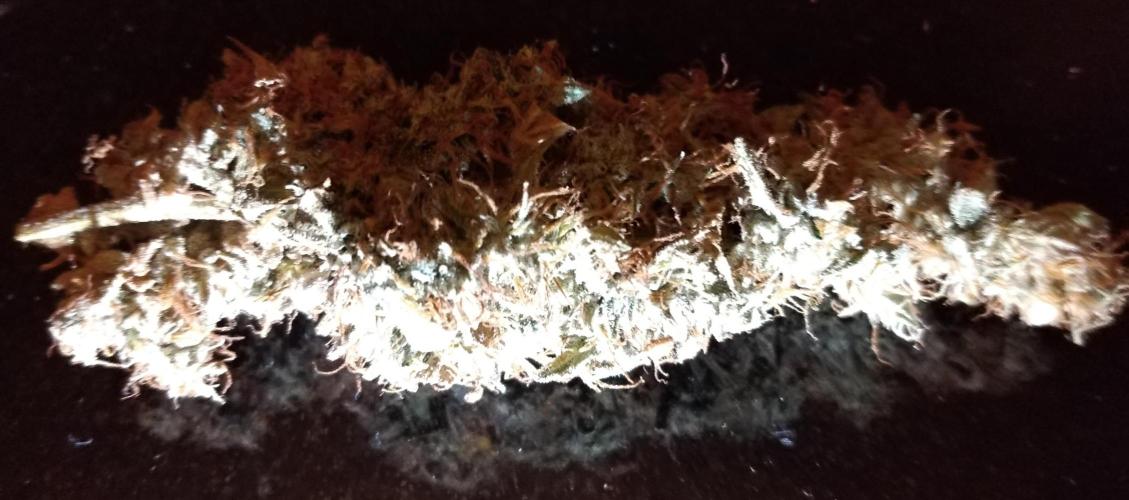 Der 2. Run ! .........die 2. !!!. Week 18