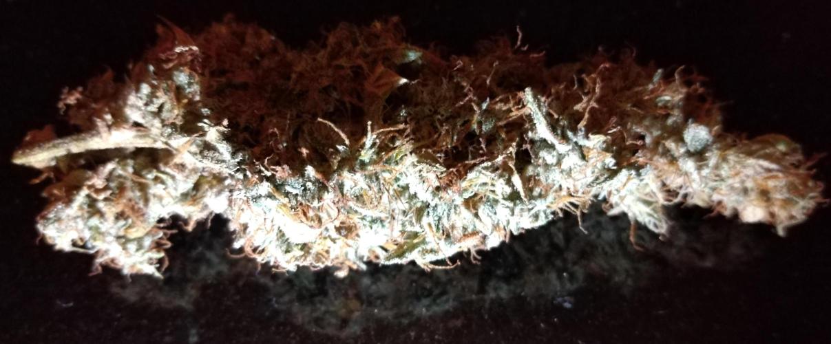 Der 2. Run ! .........die 2. !!!. Week 18