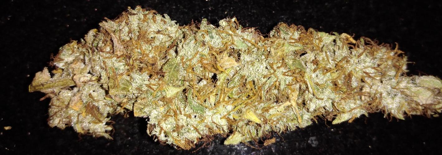 Der 2. Run ! .........die 2. !!!. Week 18