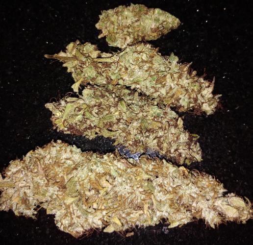 Der 2. Run ! .........die 2. !!!. Week 18