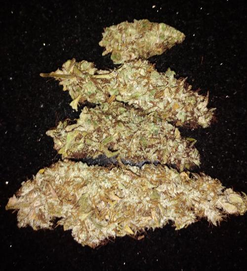 Der 2. Run ! .........die 2. !!!. Week 18