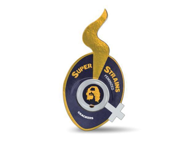 Crackers von Super Strains. Week 8