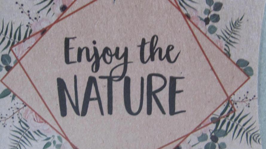 Eternity Grow Cup 2026. Week 6