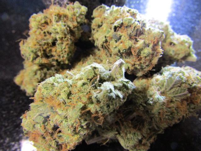 Crackers von Super Strains. Week 18