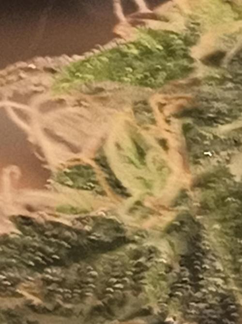 Northern Lights Auto. Week 9