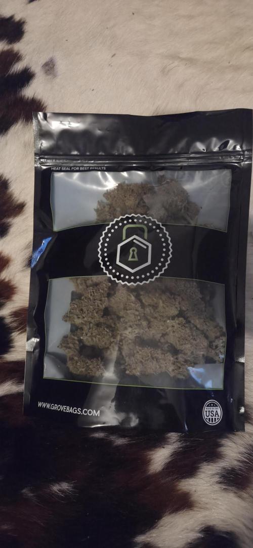 GreenBuds FastHouse. Week 12