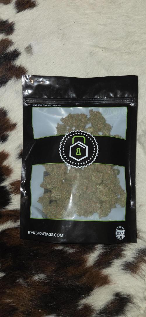 GreenBuds FastHouse. Week 12