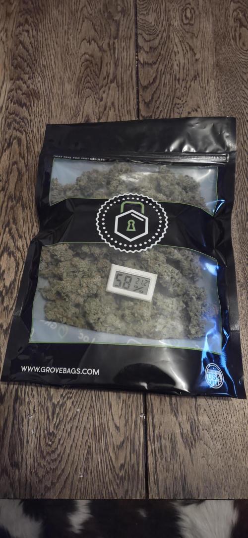 GreenBuds FastHouse. Week 13