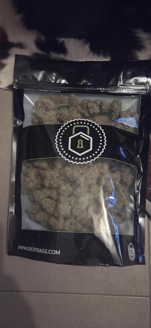 GreenBuds FastHouse. Week 13