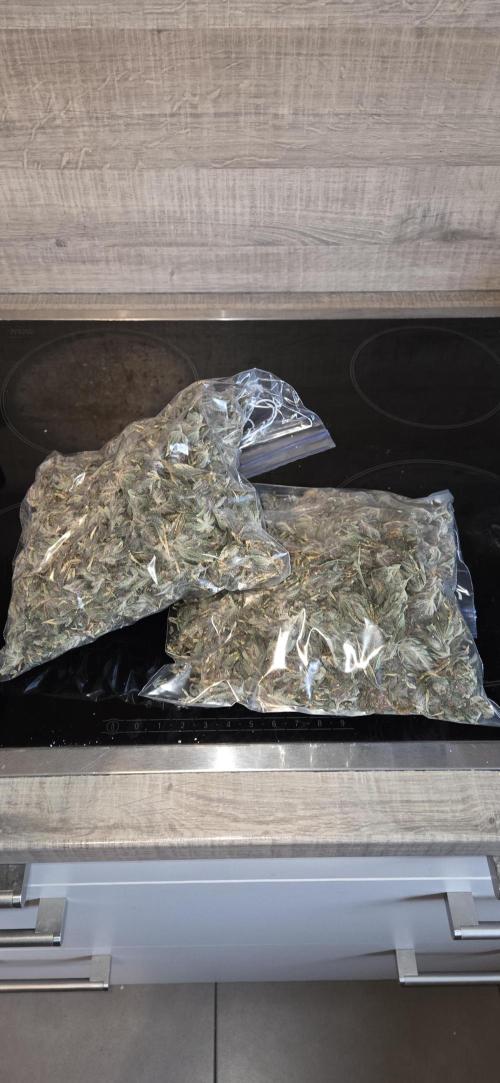 1 Lemon orange VS 1 Purple Lemonade. Week 19