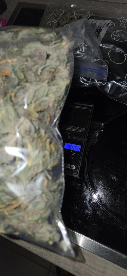 1 Lemon orange VS 1 Purple Lemonade. Week 19