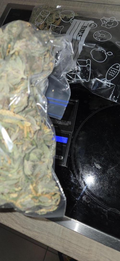 1 Lemon orange VS 1 Purple Lemonade. Week 19