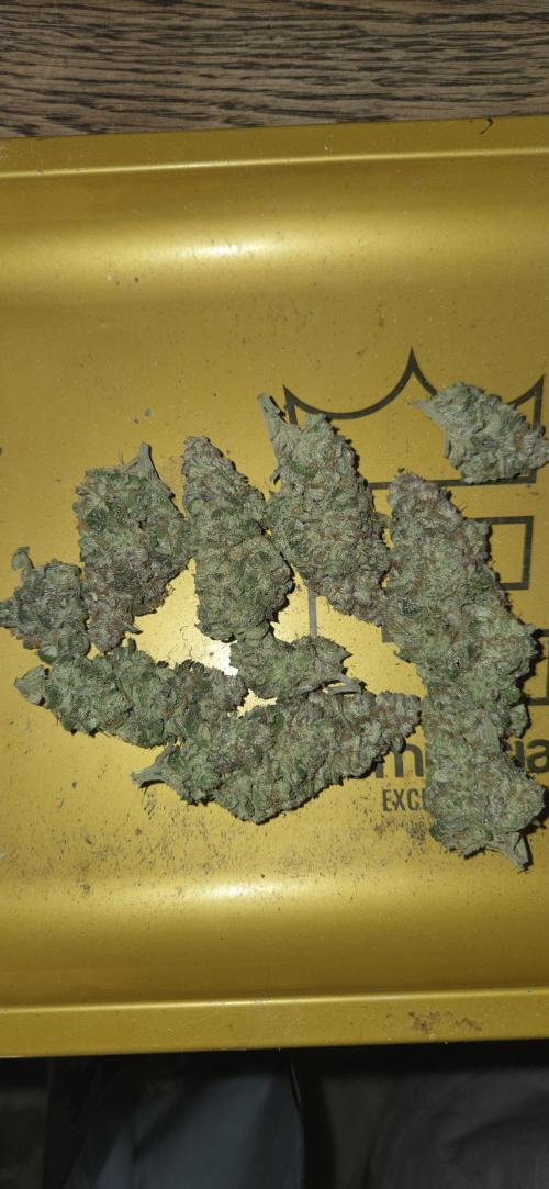 1 Lemon orange VS 1 Purple Lemonade. Week 19