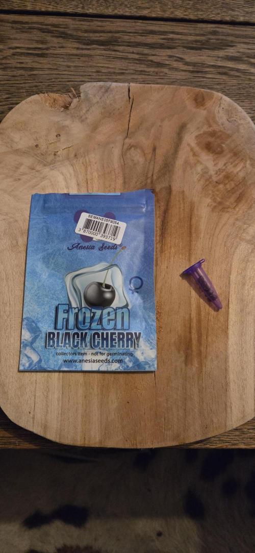 Frozen black cherry. Week 0