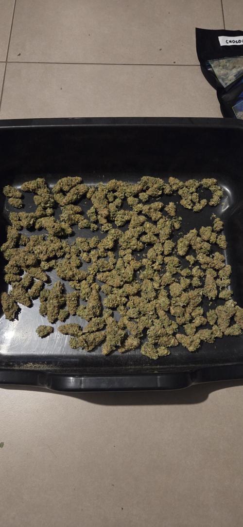 Crystal Candy. Week 15