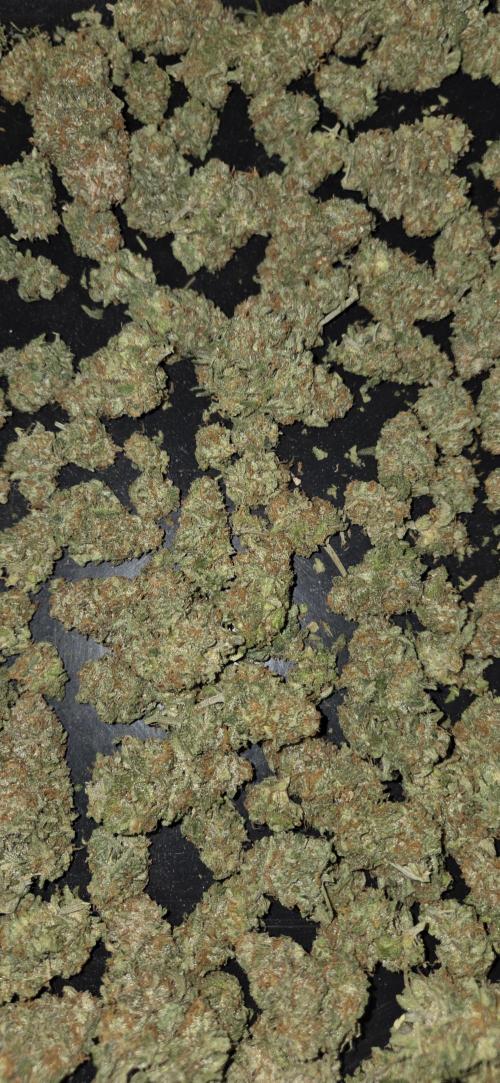 Crystal Candy. Week 15