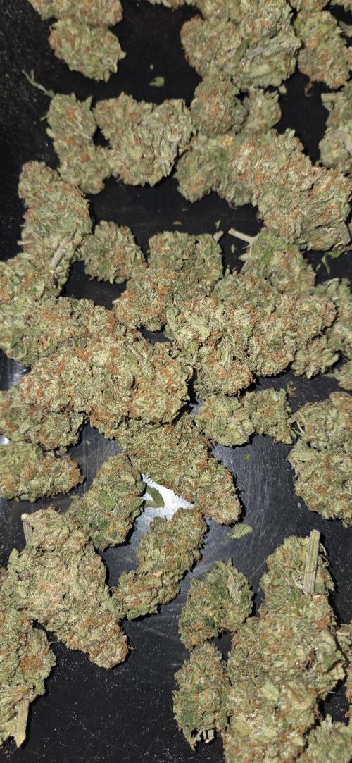 Crystal Candy. Week 15