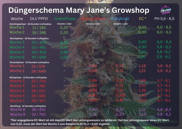 Permanent Melons. Week 17