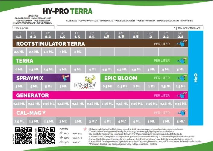 Lemon Mandarin. Week 11
