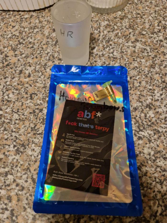 Hawaiian Rainbows. Week 0 - 01.02.26