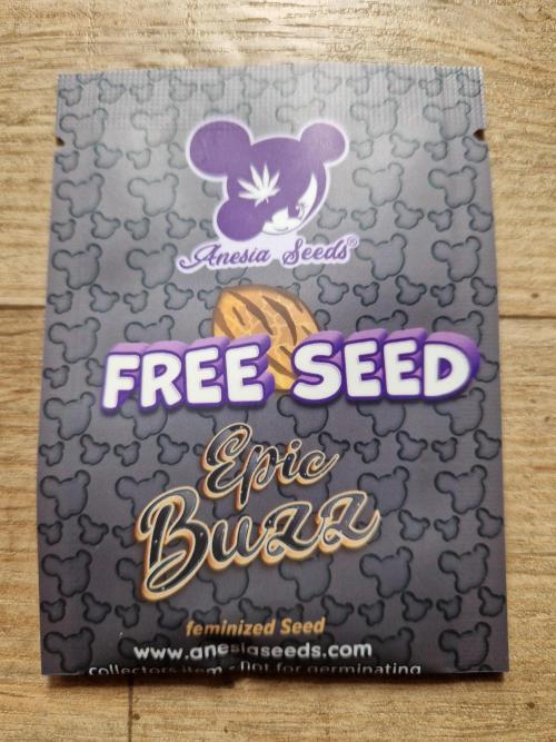 Epic Buzz. Week 0 - 09.02.26