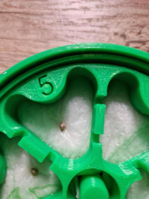 Epic Buzz. Week 0 - 09.02.26