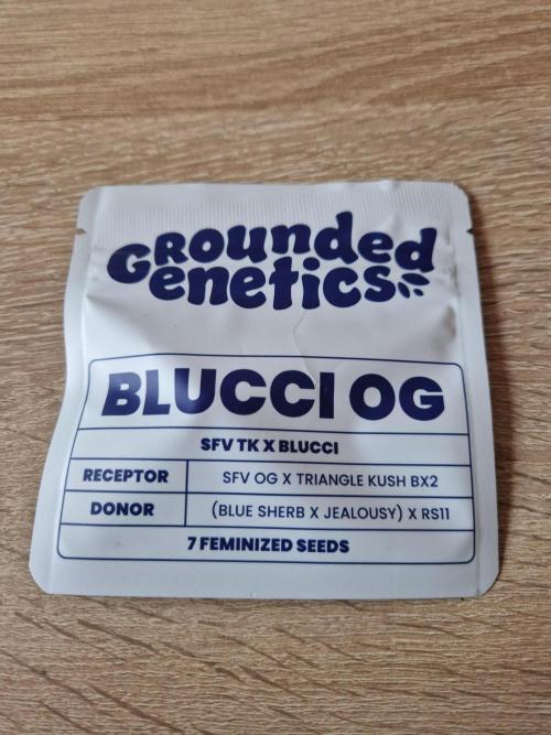 Blucci OG. Week 0