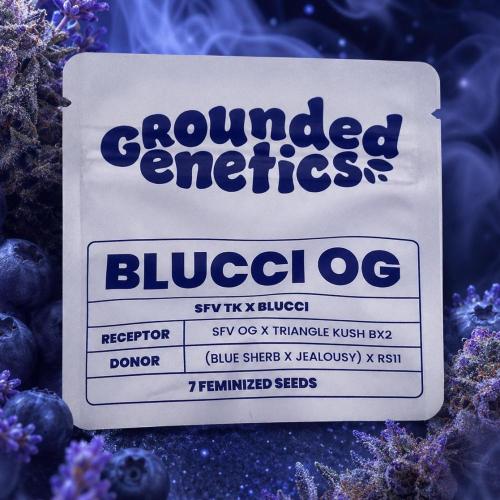 Blucci OG. Week 0