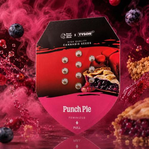 Punch Pie. Week 0
