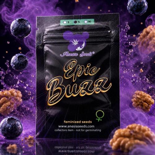 Epic Buzz. Week 0