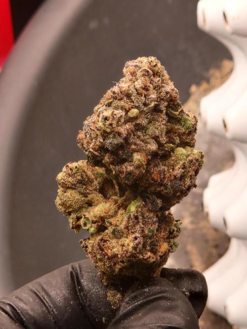Punch Pie. Week 18