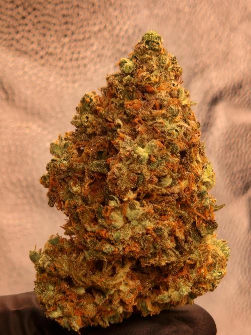 Epic Buzz. Week 17