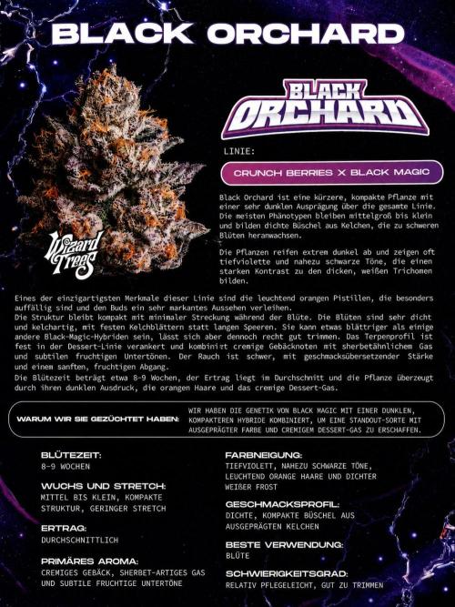 Black Orchard. Week 0