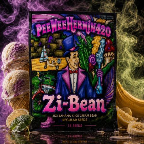 Zi-Bean Regular Phenohunt. Week 0